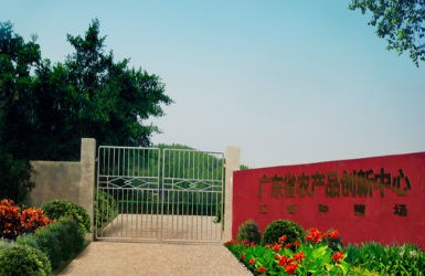 asiagame研发基地